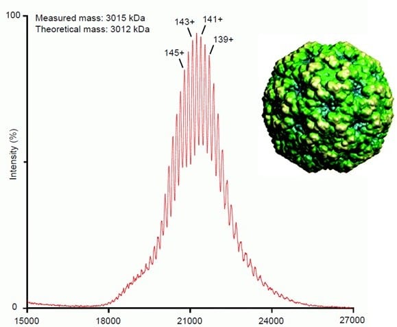 Native mass spectrometry analysis of a virus capsid
