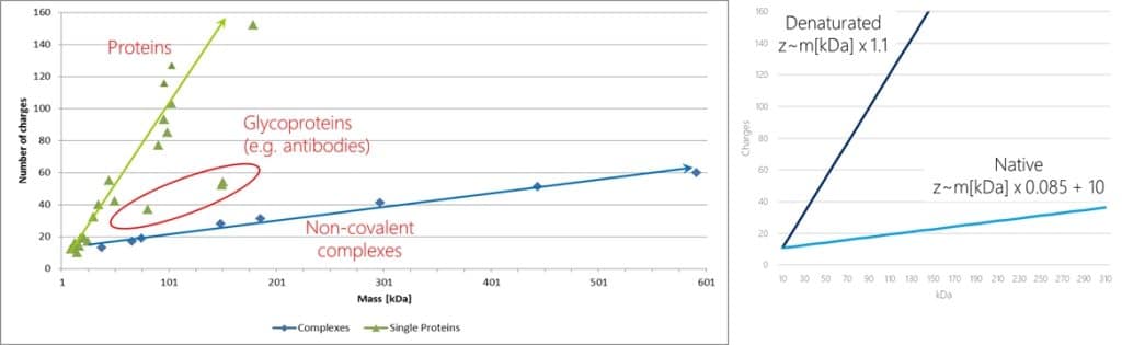 Increase of charge with increasing protein mass