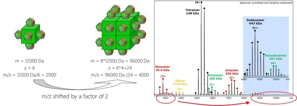 increase in m/z upon complex formation