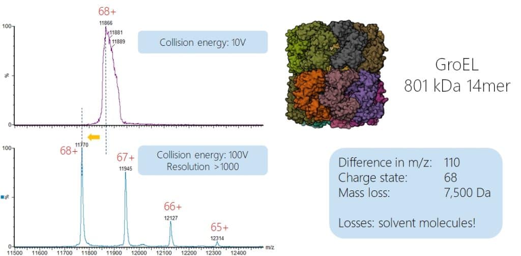 Desolvation of intact proteins using higher collision energies