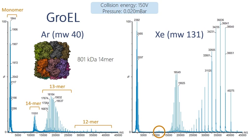 Fragmentation of intact protein complexes using heavier collision gas