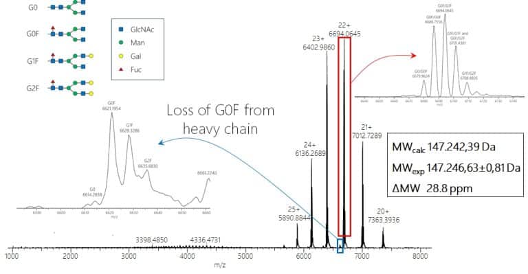 Rituximab mass spec analysis