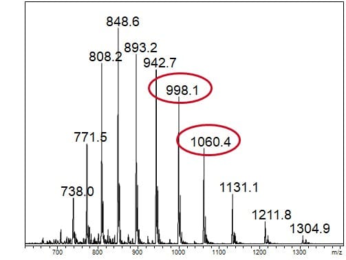 Protein_Molecular_Weight_Calculation