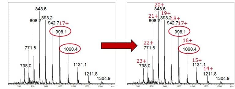 Protein_Molecular_Weight_Calculation