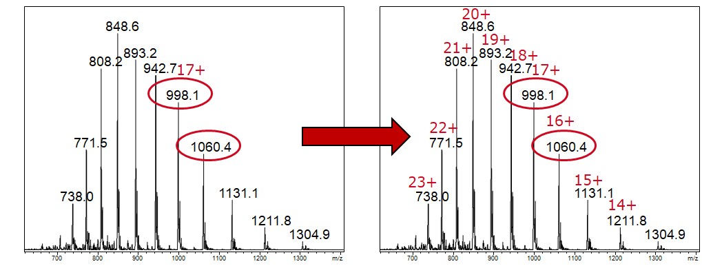 Protein_Molecular_Weight_Calculation