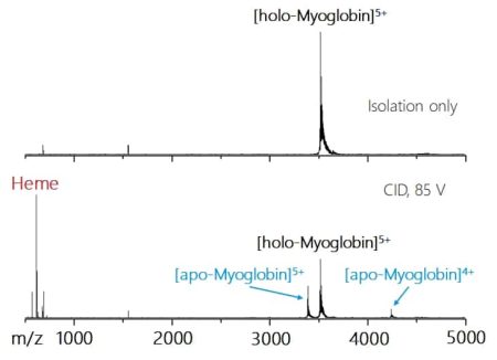Myoglobin_Isolation_ISD